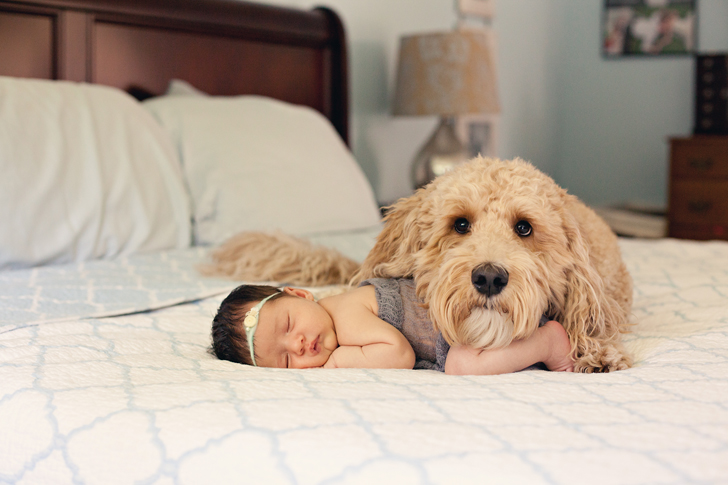 Davis-Lifestyle-dog-and-baby